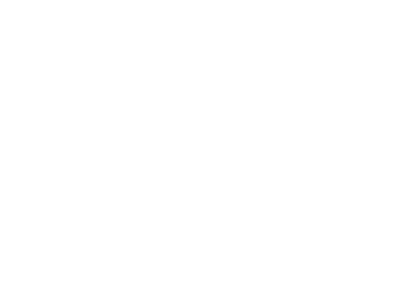 logo-footer-fisioterapico-san-rocco